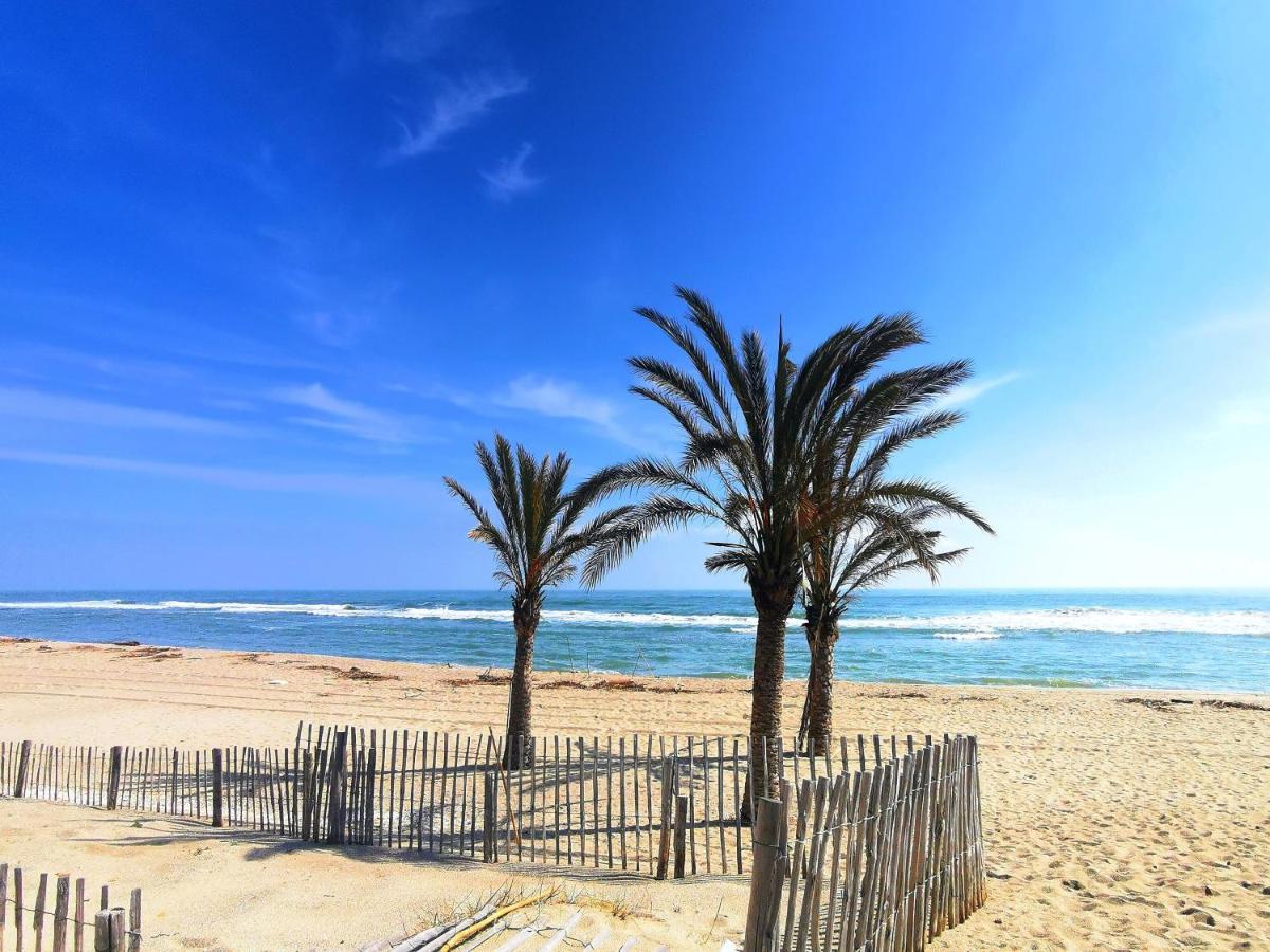 Appartement Soleil Levant - Acces Direct Plage - Terrasse - Une Chambre - Proche Commerces Ле Баркарес Экстерьер фото
